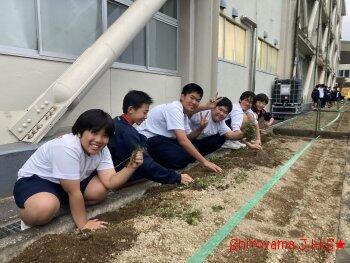 環境整備委員の活動の様子