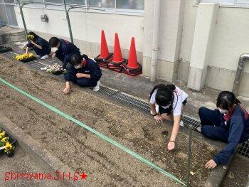 環境整備委員の活動の様子