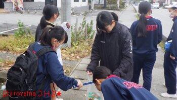 城山あったか活動の様子