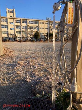 朝の城山中学校