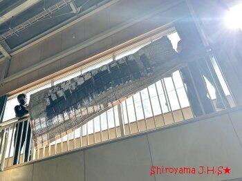 少しずつ準備を進めています