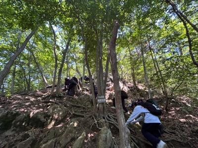 登山の様子