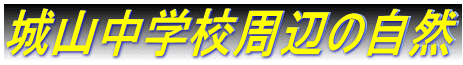 城山中学校周辺の自然
