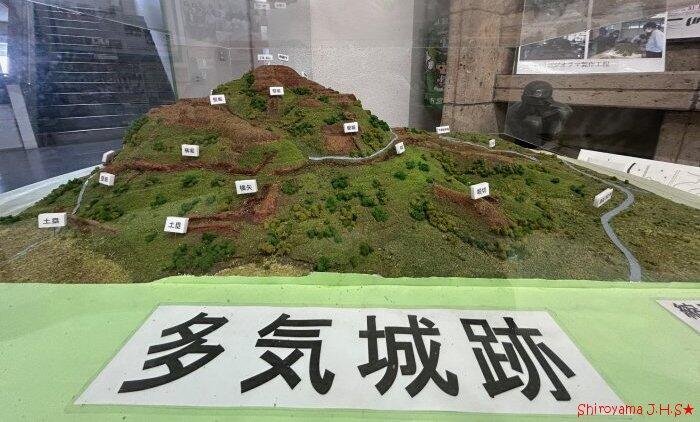 城山ギャラリーの作品