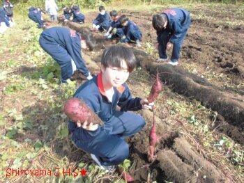 食農体験学習の様子