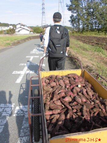 食農体験学習の様子