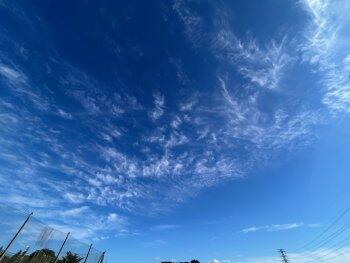 昨日は木枯らし1号