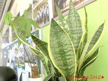 城山中学校の校内にはいろいろなものがあります