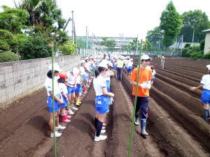 学校農園（苗植え）1