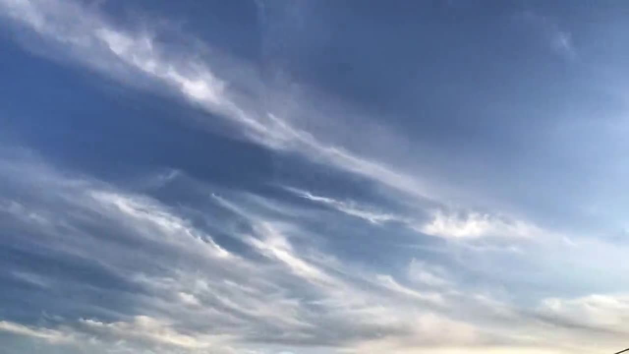 動画を掲載できるようになりました【テスト】
