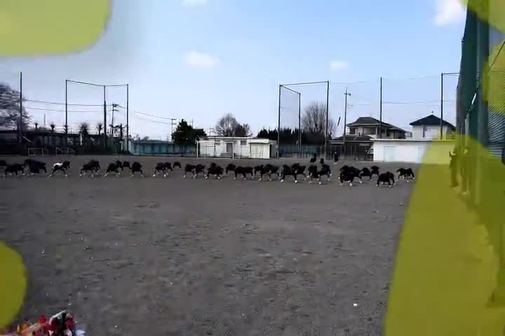 雀中そーらん～お世話になった先生へ～