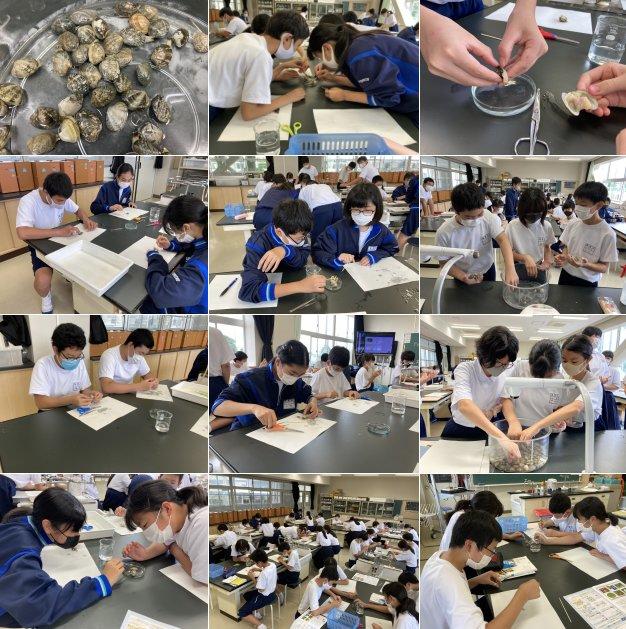 理科の授業の様子 理科の授業の様子