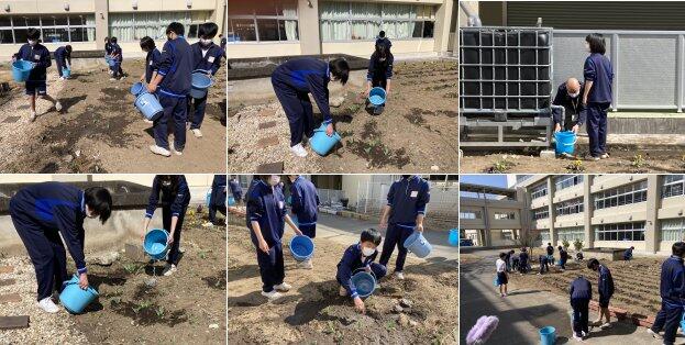 活動の様子
