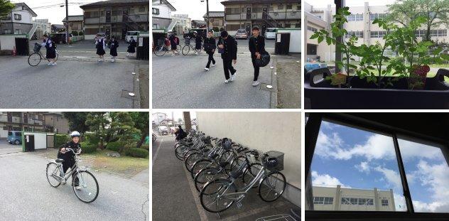 朝の様子