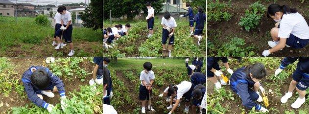 1年4組の活動の様子 1年4組の活動の様子