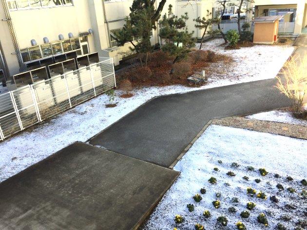 雪景色