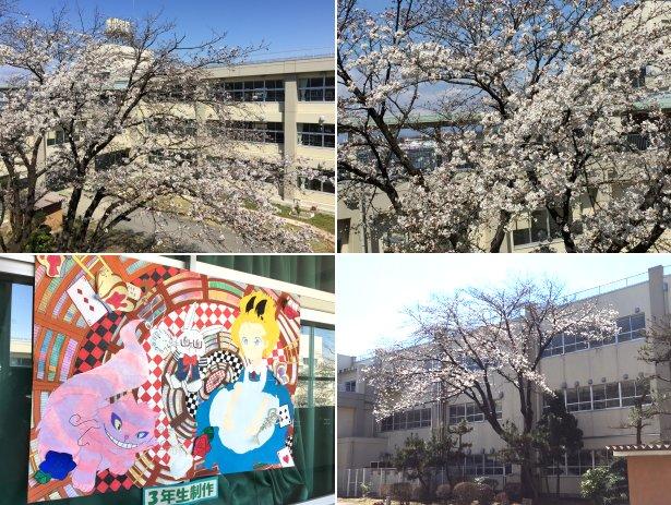 雀宮中の様子