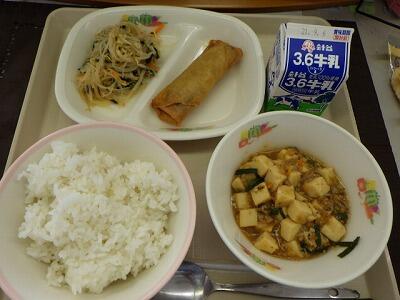 マーボー豆腐と春巻きリクエスト