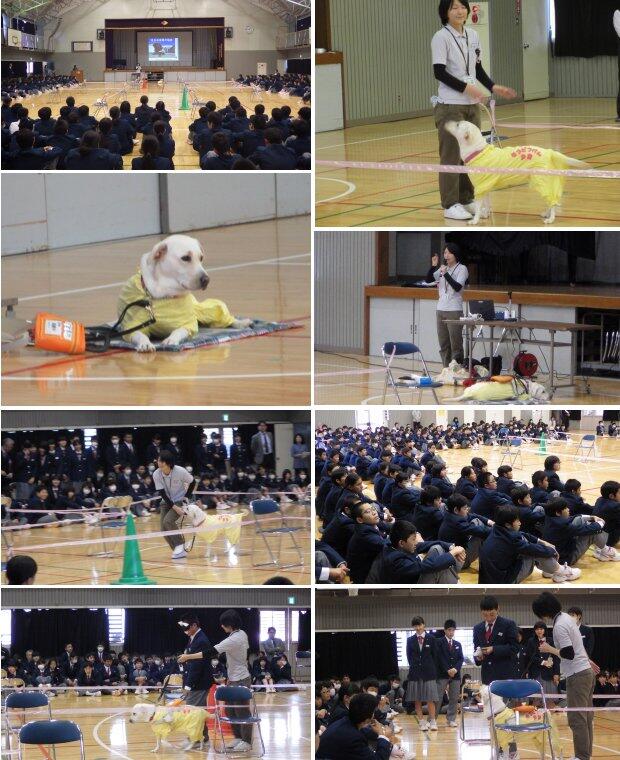 盲導犬体験学習の様子