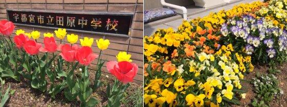 校門前の花壇の様子