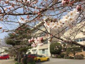 校舎を背景に。