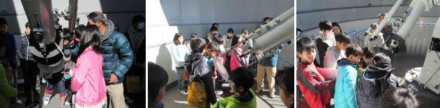 田原小６年生の観察の様子