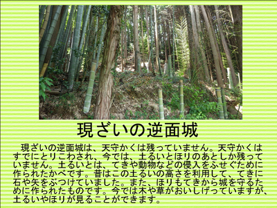 ジャケット