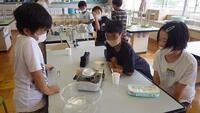 科学実験クラブ