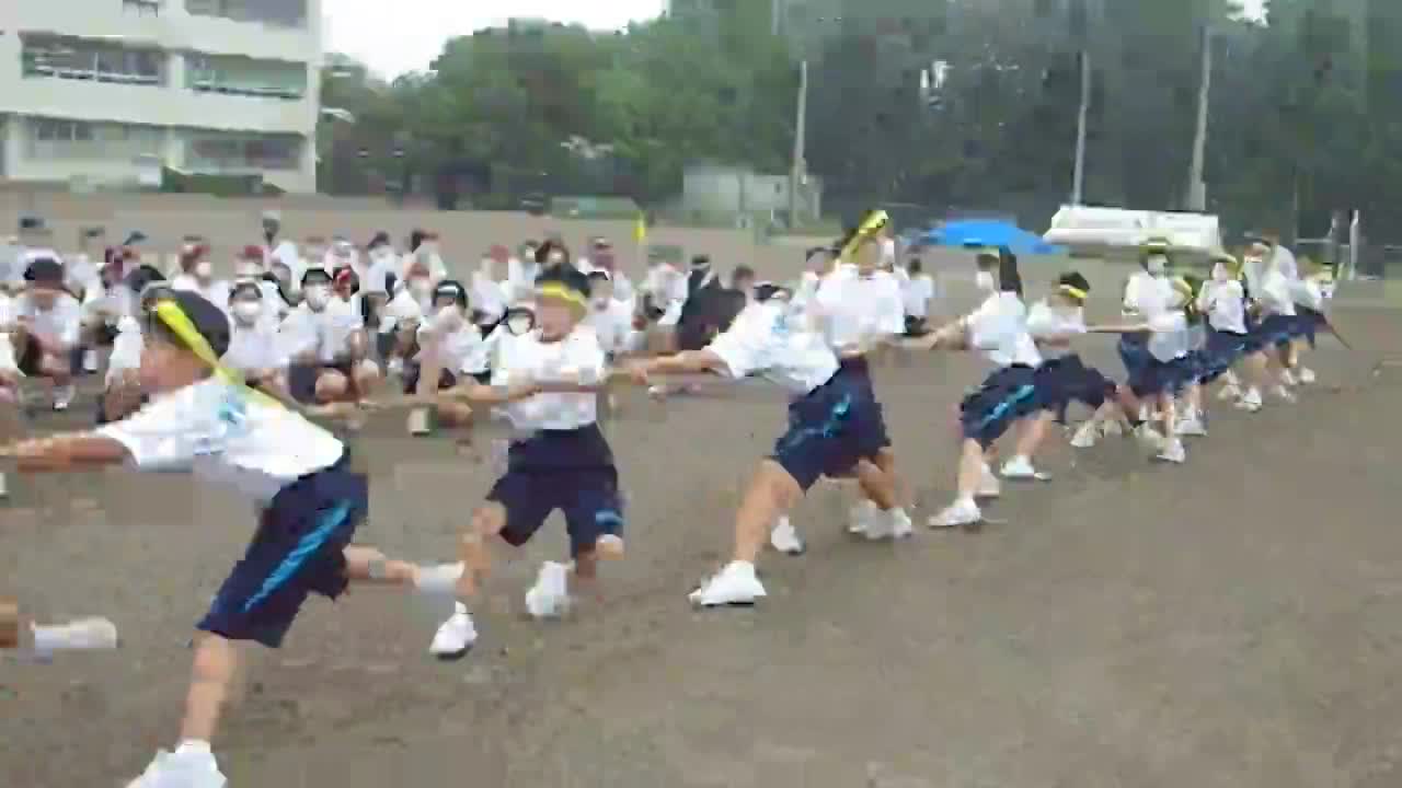 1年体育祭　綱引き(3)