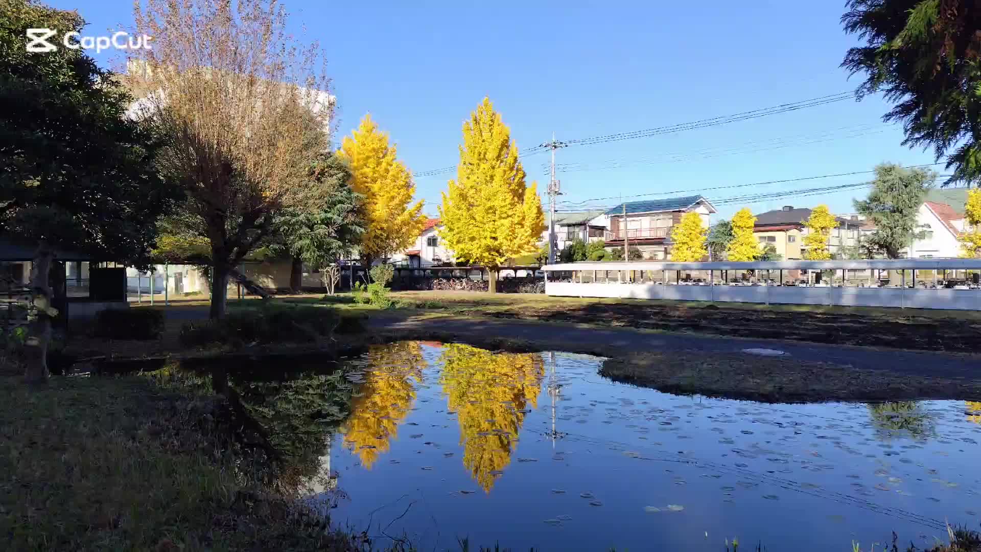 陽南中の紅葉きれいです