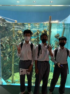 うみの杜水族館